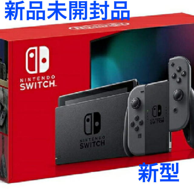 新型　Nintendo Switch Joy-Con(L)/(R) グレーセーフティガイド×1枚