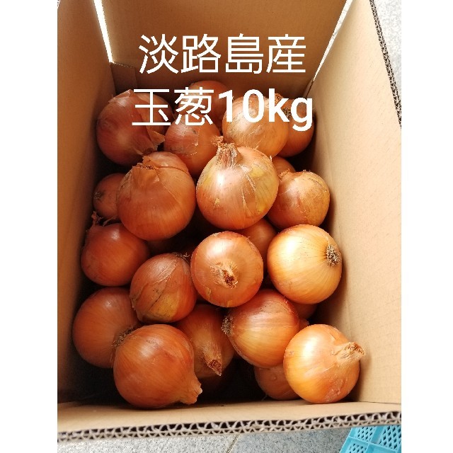 めっちゃ甘い‼️淡路島産玉葱10kg、農家直送です❗ 食品/飲料/酒の食品(野菜)の商品写真