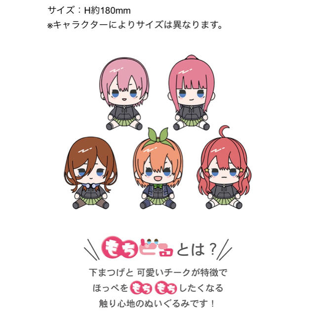 【五等分の花嫁】ドンキホーテ もちどる（ぬいぐるみ）全5種ドンキ