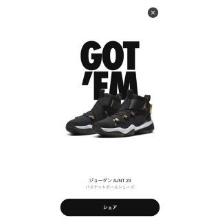 ナイキ(NIKE)のNIKE JORDAN AJNT 23 ブラック (スニーカー)