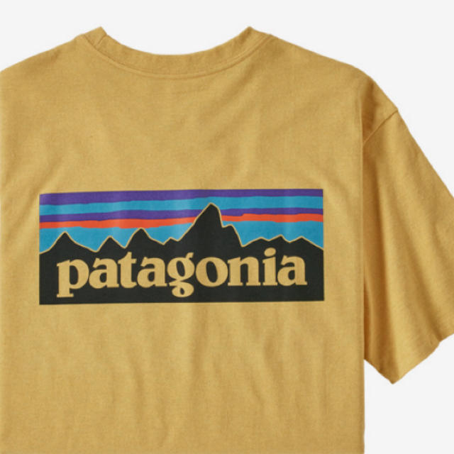 patagonia(パタゴニア)のpatagonia P-6ロゴ レスポンシビリティー（イエローXS） メンズのトップス(Tシャツ/カットソー(半袖/袖なし))の商品写真