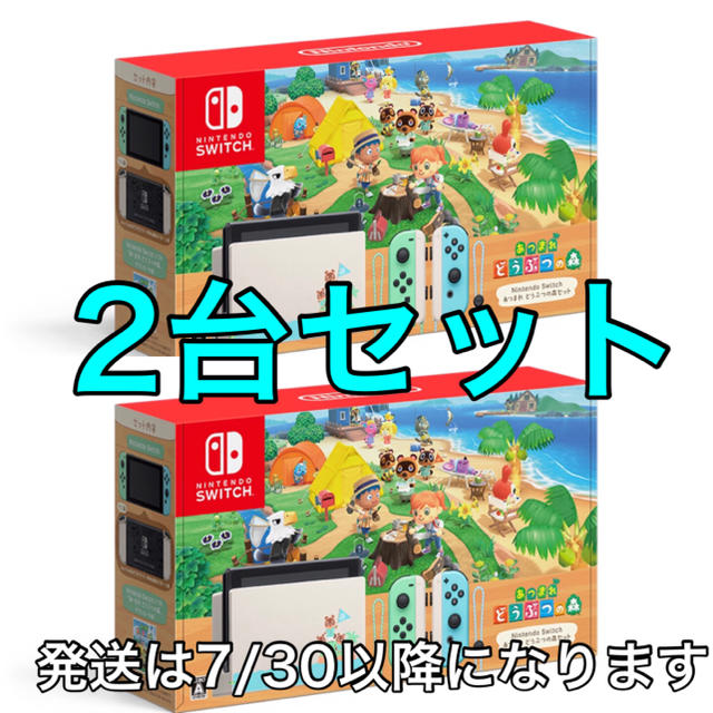 大割引 2台セット - 任天堂 Switch どうぶつの森 あつまれ