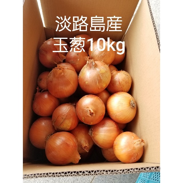 めっちゃ甘い‼️淡路島産玉葱10kg、農家直送です‼️ 食品/飲料/酒の食品(野菜)の商品写真