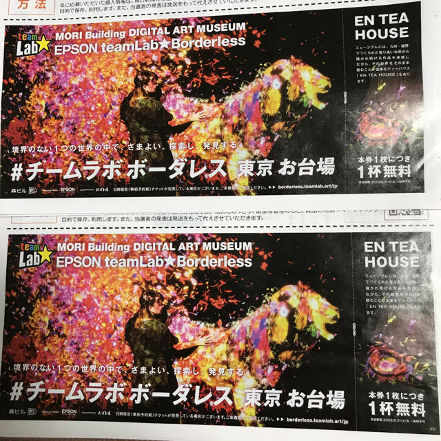 チームラボ　ボーダーレス　東京お台場　2枚 チケットの施設利用券(その他)の商品写真