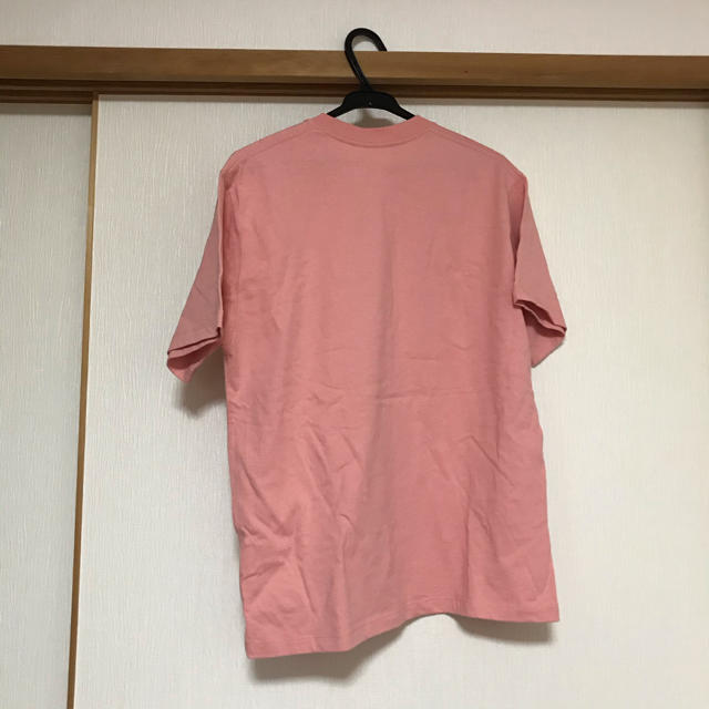 DANTON(ダントン)のDANTON ポケットTシャツ　コーラルピンク レディースのトップス(Tシャツ(半袖/袖なし))の商品写真
