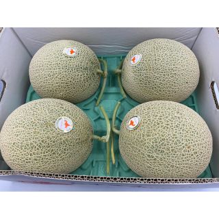 北海道産 ノースランドレッドメロン🍈4玉(フルーツ)