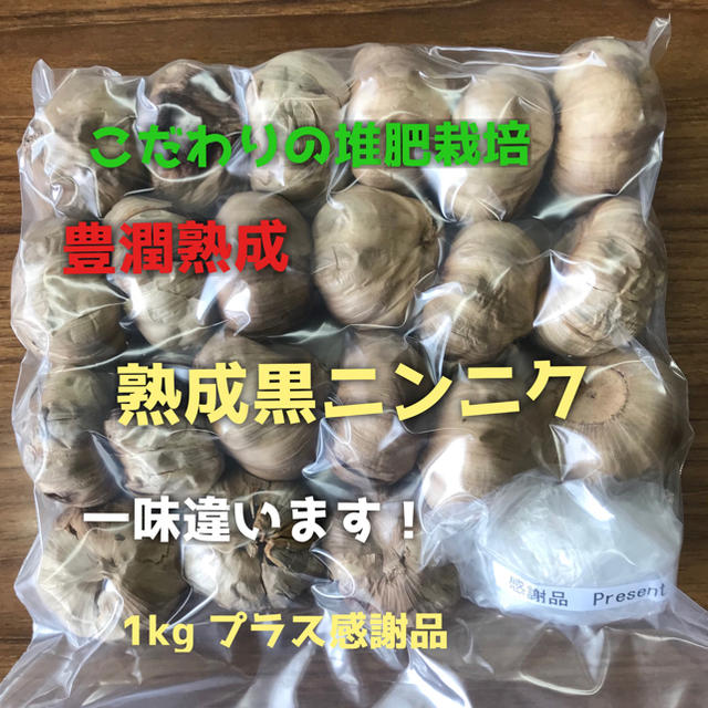 豊潤熟成黒にんにく即納 食品/飲料/酒の食品(野菜)の商品写真