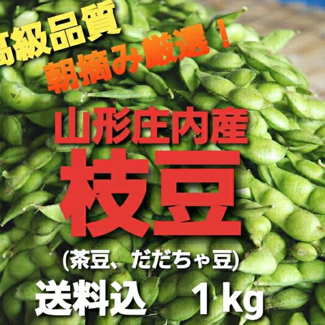専用枝豆五キロ食品