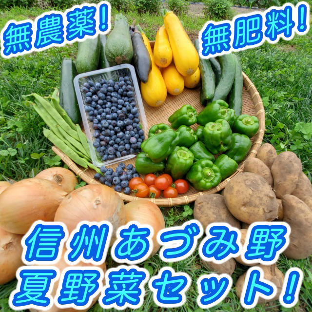 ブルーベリー付き 夏野菜セット 無農薬 減農薬 長野県 あづみ野産 2kgセット 食品/飲料/酒の食品(野菜)の商品写真