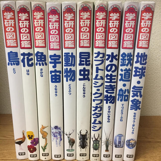 昆虫 ニューワイド学研の図鑑 10冊