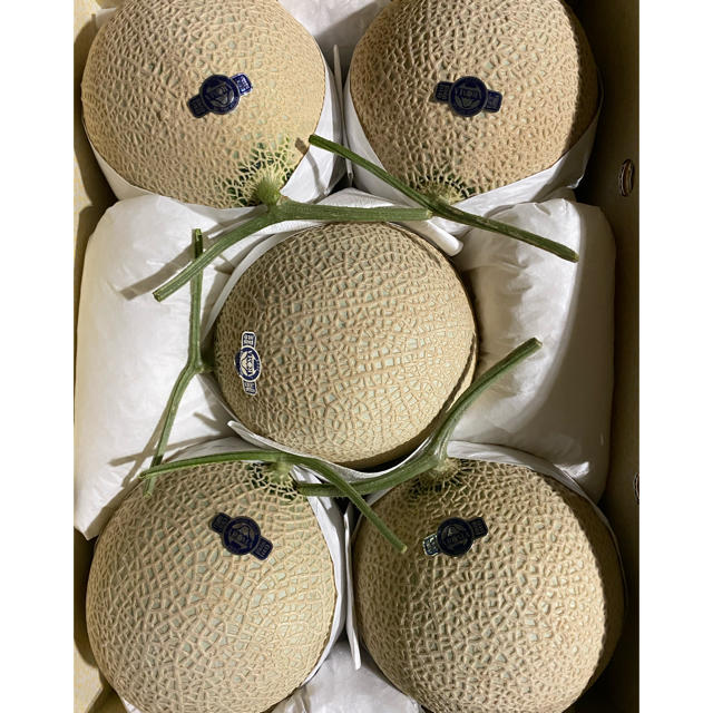 食品静岡　高級アールスメロン　白5玉　隔離栽培　アローマ