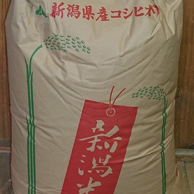 農家直送★新潟県産コシヒカリ★白米10kg★送料込みO