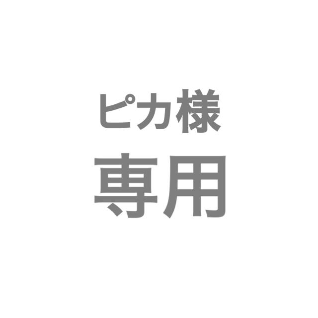 Waste(twice)(ウェストトゥワイス)のピカ様 専用 その他のその他(その他)の商品写真