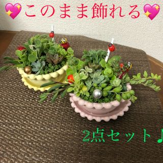 多肉植物❤︎寄せ植え❤︎そのまま飾れます♪2点セット♪(その他)