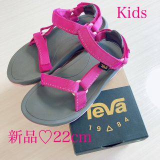 テバ(Teva)のテバ　専用Teva スポーツサンダル　22cm キッズ  新品未使用　ハリケーン(サンダル)