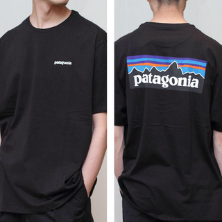 パタゴニア(patagonia)の☆patagonia☆ ポケットTシャツ(Tシャツ/カットソー(半袖/袖なし))