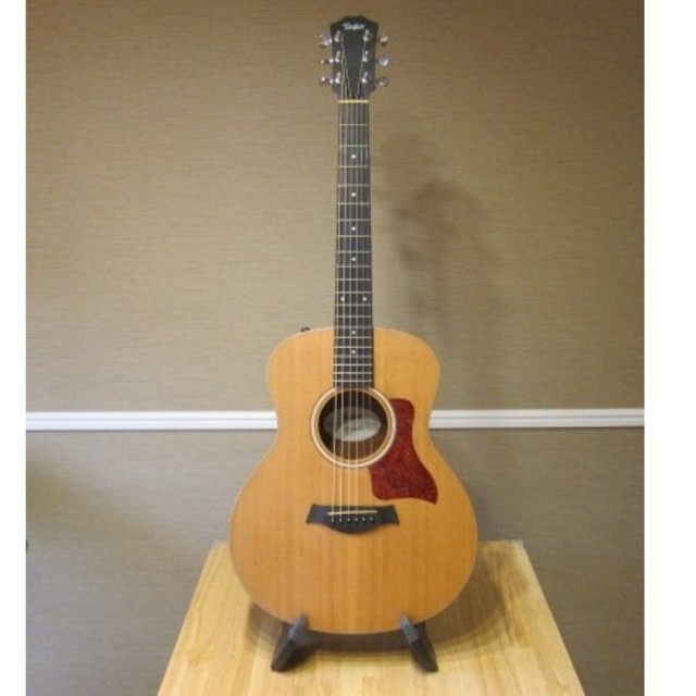 Taylor GS mini-e RW