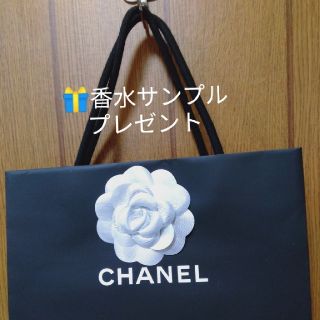 シャネル(CHANEL)のちひろ様専用ですC①シャネルカメリア付きショップ袋(ショップ袋)