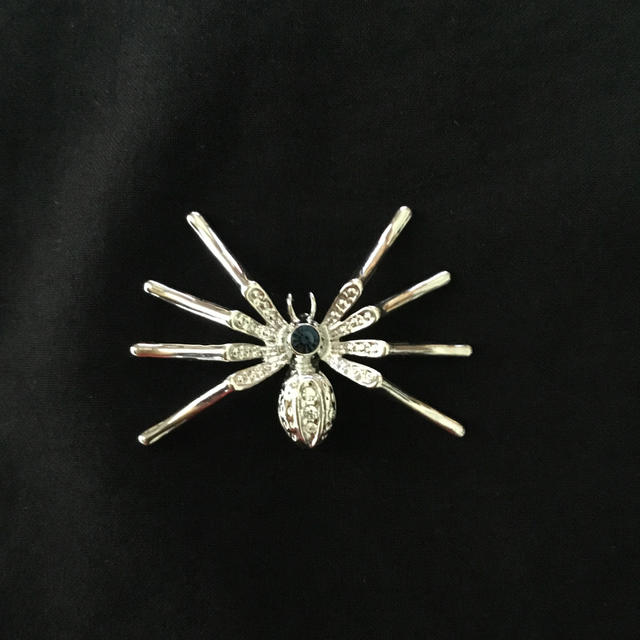 蜘蛛のブローチ レディースのアクセサリー(ブローチ/コサージュ)の商品写真