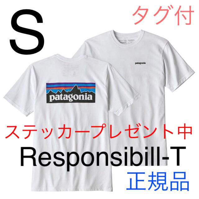 最新2020 パタゴニア Tシャツ 人気希少Sサイズ 新品未使用品 White