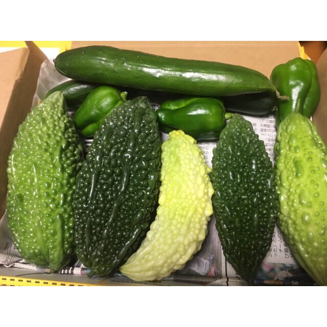 野菜詰め合わせ　コンパクト 食品/飲料/酒の食品(野菜)の商品写真