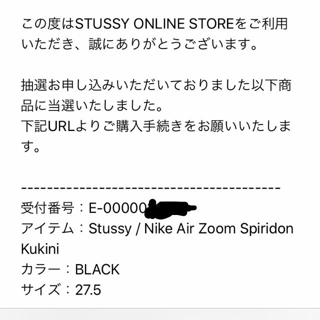 Stussy Nike スピリドン　クキニ　Spiridon Kukini 3