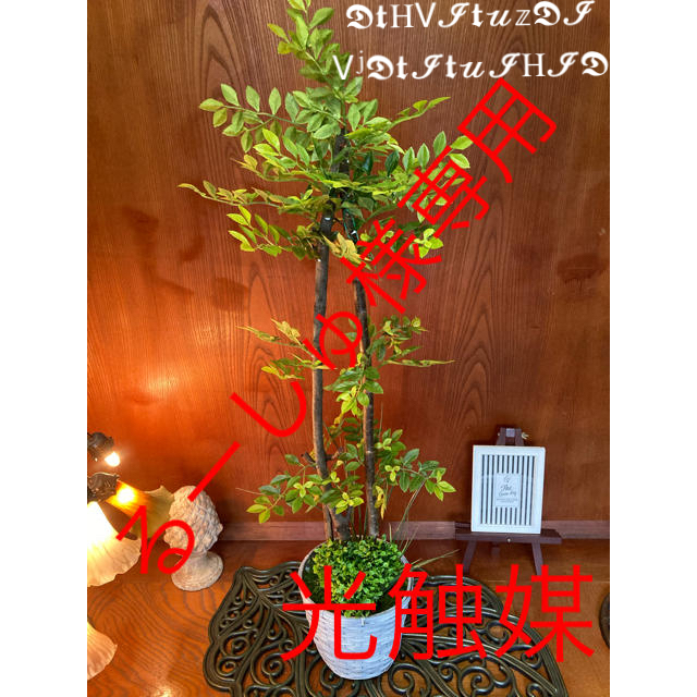 光触媒　人工観葉植物　抗菌消臭　ウォールグリーン　ゴールデンリーフMM113