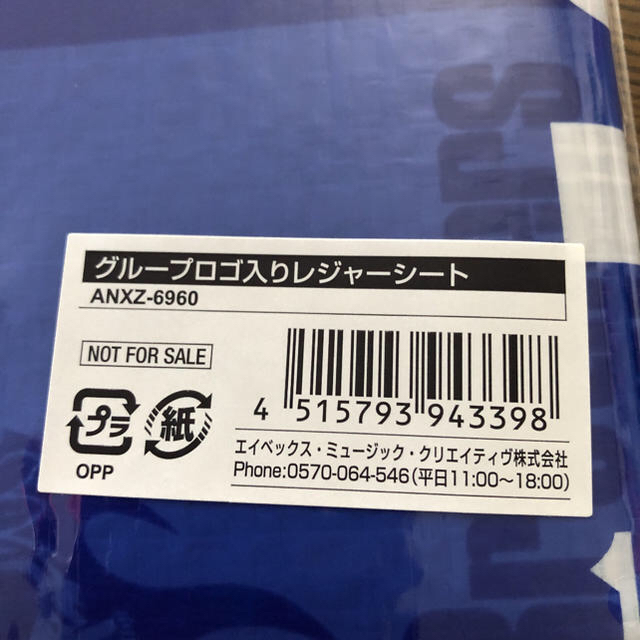 三代目 J Soul Brothers(サンダイメジェイソウルブラザーズ)の三代目レジャーシート スポーツ/アウトドアのスポーツ/アウトドア その他(その他)の商品写真