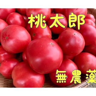 トマトの王様❗☆桃太郎☆  無農薬(野菜)