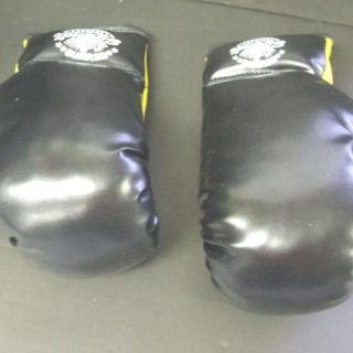 ※配送料無料※　＜未使用品＞　ムエタイグローブ　６ oz (ボクシング)