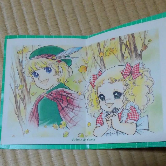 キャンディキャンディ いがらしゆみこ イラストブック なかよし付録