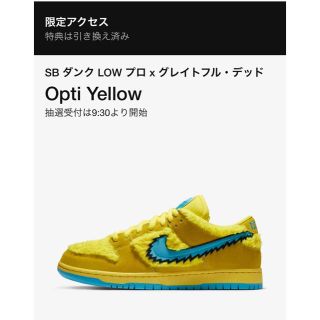 ナイキ(NIKE)のナイキ ダンク グレイトフルデッド(スニーカー)