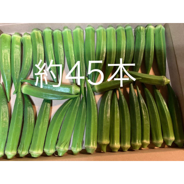 おくら 食品/飲料/酒の食品(野菜)の商品写真