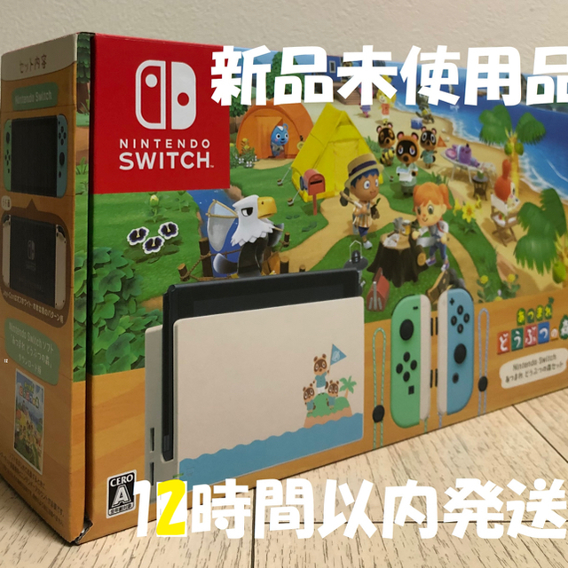 任天堂 Switch あつまれどうぶつの森セット - www.sorbillomenu.com