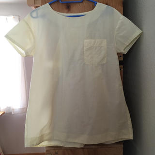 アウラアイラ(AULA AILA)のsono ソーノ　ナイロントップス　Tシャツ　チュニック(シャツ/ブラウス(半袖/袖なし))