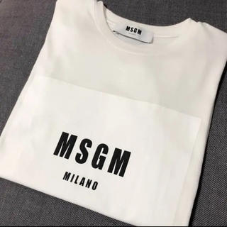 エムエスジイエム(MSGM)のmsgm ボックスロゴTシャツ　Sサイズ(Tシャツ(半袖/袖なし))