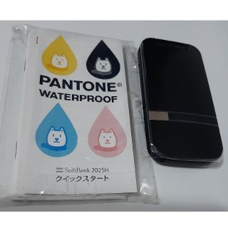 ◆新品未使用◆ SoftBank 202SH SHARP (携帯電話本体)