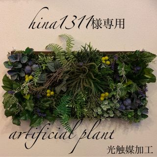 セール！！光触媒加工　抗菌消臭ウォールグリーン(その他)