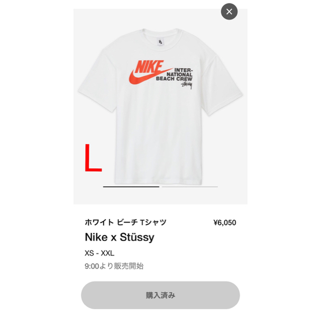 ナイキ　ステューシー　ビーチTee