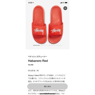 ステューシー(STUSSY)の29！べナッシ　ナイキ　サンダル　ステューシー(サンダル)