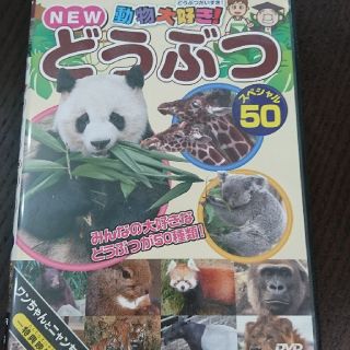 【DVD】動物大好き！どうぶつスペシャル50(キッズ/ファミリー)