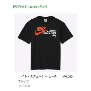 ナイキ(NIKE)のNIKE STUSSY BEACH TEE(Tシャツ/カットソー(半袖/袖なし))