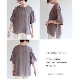 シアー 半袖 Tシャツ(Tシャツ(長袖/七分))