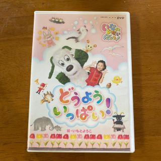 いないいないばあっ！　どうよう　いっぱい！ DVD(アニメ)