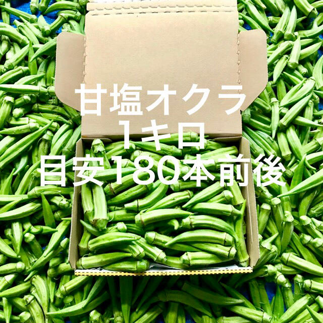 【鹿児島産】甘塩オクラ箱込み１キロ^_^ 食品/飲料/酒の食品(野菜)の商品写真