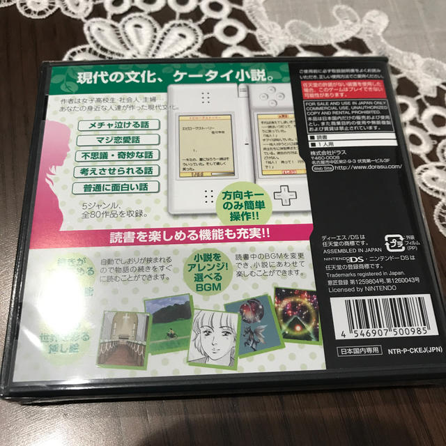 みんなで読書 ケータイ小説ですぅ～ DS エンタメ/ホビーのゲームソフト/ゲーム機本体(携帯用ゲームソフト)の商品写真