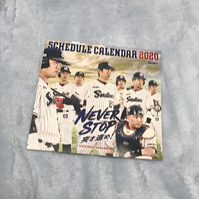 東京ヤクルトスワローズ(トウキョウヤクルトスワローズ)のヤクルトスワローズ　ファイル2点＋カレンダーセット チケットのスポーツ(野球)の商品写真