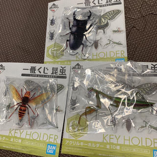 バンダイ(BANDAI)の一番くじ 昆虫 LIFE G賞 アクリルキーホルダー 3個(キーホルダー)