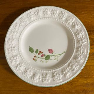 ウェッジウッド(WEDGWOOD)のwedgwood フェスティビティ ラズベリー プレート 21cm(食器)