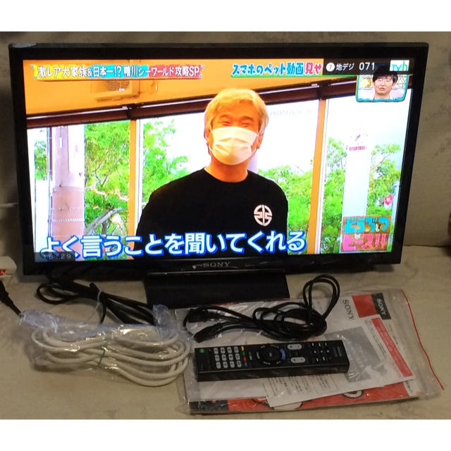 テレビ/映像機器SONY BRAVIA 24VハイビジョンTV KJ-24W450E